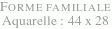 Forme familiale - Aquarelle : 44 x 28