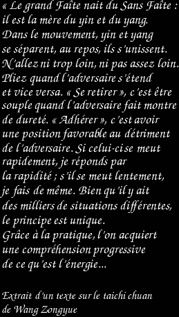 Le grand Faîte nait du Sans Faîte : il est la mère du yin et du yang. Dans le mouvement, yin et yang se séparent, au repos, ils s'unissent. N'allez ni trop loin, ni pas assez loin. Pliez quand l'adversaire s'étend et vice versa. Se retirer, c'est être souple quand l'adversaire fait montre de dureté. Adhérer, c'est avoir une position favorable au détriment de l'adversaire. Si celui-ci se meut rapidement, je réponds par la rapidité ; s'il se meut lentement, je fais de même. Bien qu'il y ait des milliers de situations différentes, le principe est unique. Grâce à la pratique, l'on acquiert une compréhension progressive de ce qu'est l'énergie... / Extrait d'un texte sur le taichi chuan de Wang Zongyue